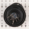 Collapsible Magnetic Parts Tray-CMPT